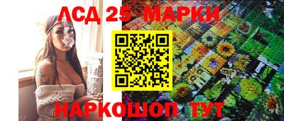 гашик Нарткала