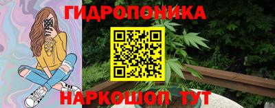 гашик Нарткала