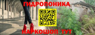 гашик Нарткала