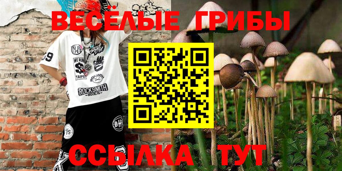 Галлюциногенные грибы Psilocybine cubensis  Вход с VPN  Хасавюрт  Псилоцибиновые грибы ЛСД 